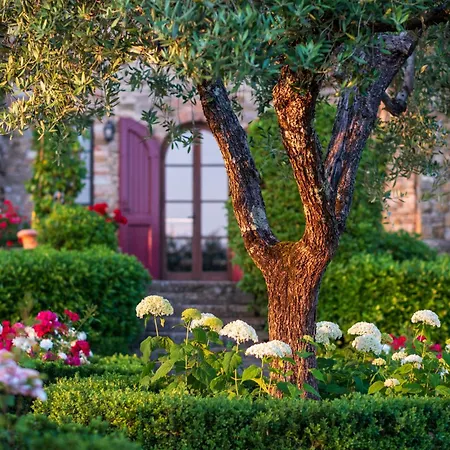 La Corte By Mmega Fattoria Montecchio