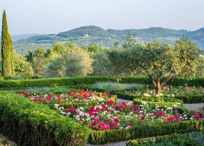 La Corte By Mmega * Fattoria Montecchio