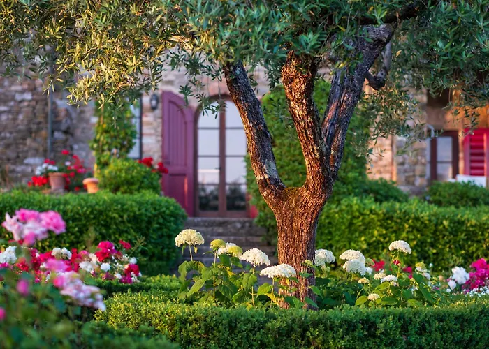 La Corte By Mmega Fattoria Montecchio